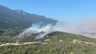 Uludağ'ın eteklerinde 3 farklı noktada alevler yükseldi