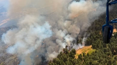 Aydın'daki orman yangınına havadan ve karadan müdahale sürüyor