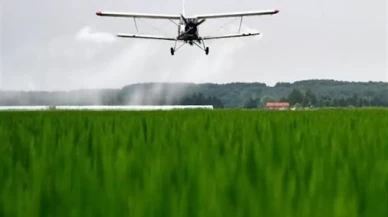Çok sayıda can kaybı var