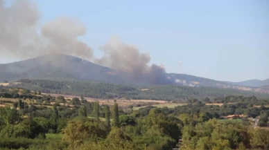 Çanakkale’de orman yangını geniş alana yayıldı