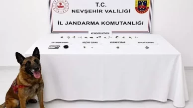 248 kök kenevirin bulunduğu operasyonda 6 şüpheli yakalandı