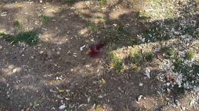 Eskişehir'de parkta oturan vatandaşa döner bıçaklı saldırı