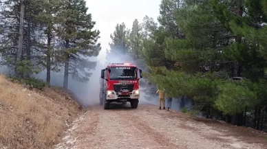 Kahramanmaraş’ta yıldırım düştü! Orman alevlere teslim oldu!