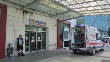 Ordu’da doğadan topladıkları mantarı yiyen çift hastaneye kaldırıldı