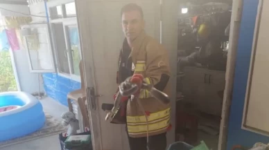 Havalar ısındı, yılanlar ortaya çıktı!