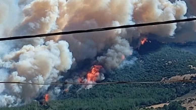Çanakkale'de 2 ayda 541 hektar orman kül oldu