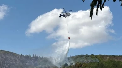 Son dakika! Balıkesir’de orman yangını çıktı