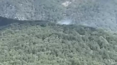 Balıkesir’de orman yangını