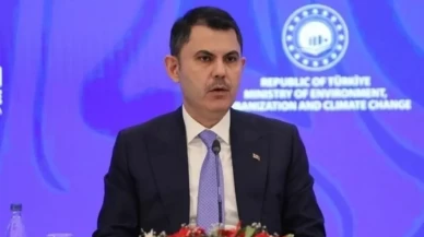 Fethiye'de 16,2 milyon metreküp dip çamuru temizlenecek: Akdeniz'de büyük çevre seferberliği