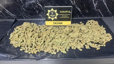 Sakarya’daki narkotik operasyonunda 2 şüpheli tutuklandı