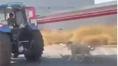 Diyarbakır’da vicdanları sızlatan görüntü!