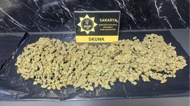 Sakarya’daki narkotik operasyonunda 2 şüpheli tutuklandı