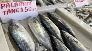 Tekirdağ’da av sezonu palamut bereketiyle başladı