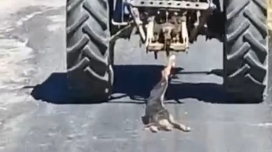 Köpeği traktörle sürükleyen sürücü yakalandı