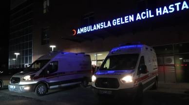 Niğde'de hayvan otlatma tartışması meydan savaşına döndü