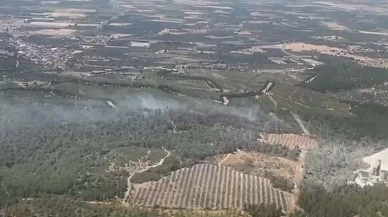 Manisa’da orman yangını: Ekipler seferber edildi
