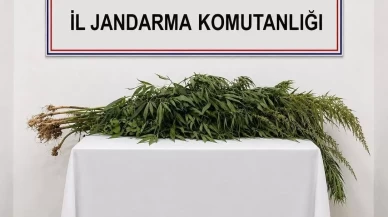 Boztepe’de iki adrese uyuşturucu operasyonu
