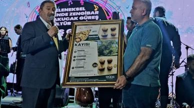 Malatya’nın kayısısından sonra cevizi meşhur oluyor!