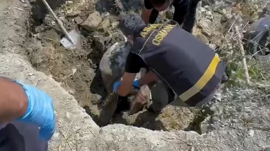 Ayşegül Yaşar’ın cansız bedeni ormanda bulundu