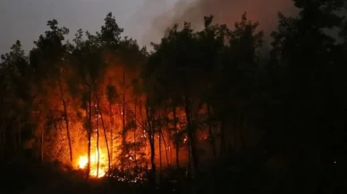 Antalya’daki yangın provokasyonuna geçit yok