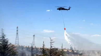 Ankara Gölbaşı’nda orman yangını: Villalar tahliye edildi
