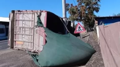 Tekirdağ’da ayçiçeği yüklü kamyon devrildi
