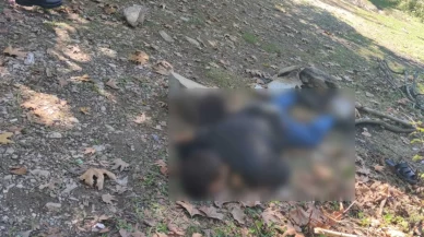 Genç adam av tüfeğiyle vurularak öldürüldü