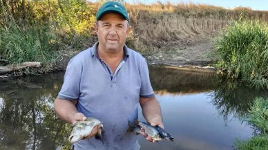 Tekirdağ’da derede binlerce balık öldü: İnceleme başlatıldı