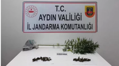 Söke’de uyuşturucu operasyonu: Esrar ve kenevir ele geçirildi