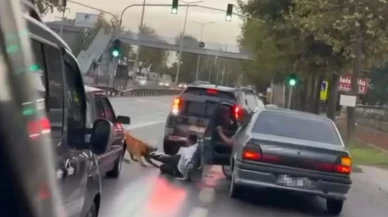 Zinciri kopan köpek vatandaşı ayağından ısırıp sürükledi!