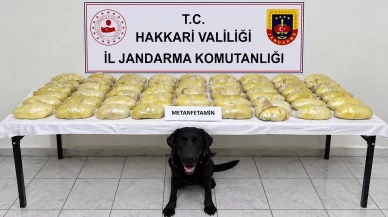 Hakkâri’de durdurulan TIR’dan 44 paket çıktı: Tam 21 kilo 700 gram