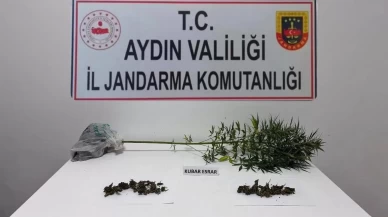 Söke’de uyuşturucu operasyonu: Esrar ve kenevir ele geçirildi