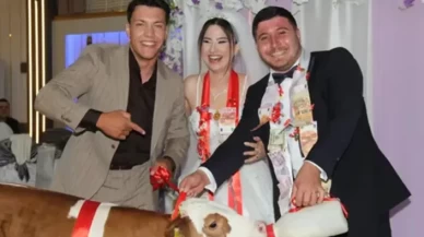 Tekirdağ’da düğünün takısı buzağı oldu!