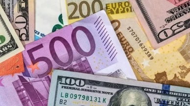 Dolar ve avro güne kaç liradan başladı?