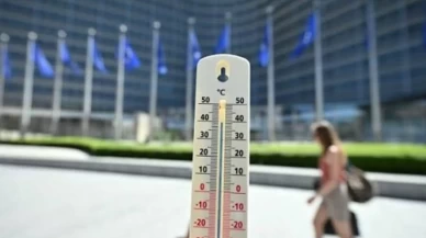 Belçika'da kavurucu yazın acı bilançosu