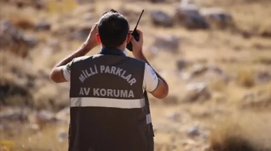 Yaban hayatı için denetimler sürüyor