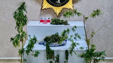 Kars’ta narkotik baskını: 1 gözaltı