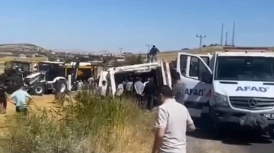 Kırşehir’de hayvan yüklü TIR şarampole devrildi