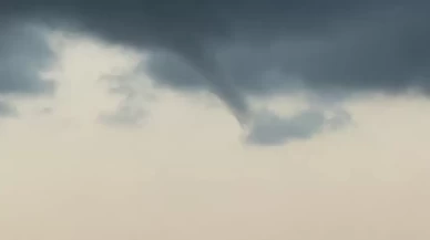Alanya’da korkutan görüntü!