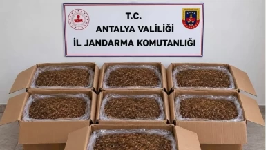 Antalya’da kaçak tütün operasyonu: 210 kilogram ele geçirildi