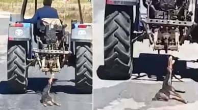 Köpeği traktörün arkasına bağlayarak metrelerce sürükledi