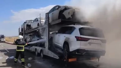 Ağrı’da otomobil yüklü TIR’da yangın çıktı