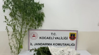 Kocaeli’de uyuşturucu operasyonu: 3 kilo 750 gram esrar ele geçirildi
