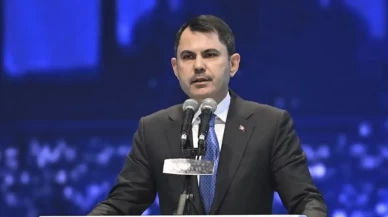 Deniz çayırları yeniden güçlendiriliyor