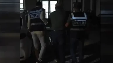 Hatay'da sokak köpeğini av tüfeğiyle vurduğu belirlenen şüpheli gözaltında