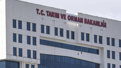 Gıdada taklit ve tağşiş alarmı! Tarım Bakanlığı ifşa listesini güncelledi: 53 yeni ürün eklendi