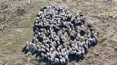 Tunceli'de aylık 150 bin TL maaşa çalışan bulamıyorlar!