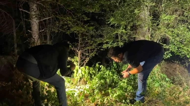 Tarım arazisinde çalışırken yerde buldu!