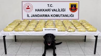 Hakkâri’de durdurulan TIR’dan 44 paket çıktı: Tam 21 kilo 700 gram