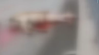 Arnavutköy’de otomobil ata çarptı: Sürücü ve iki binici yaralandı